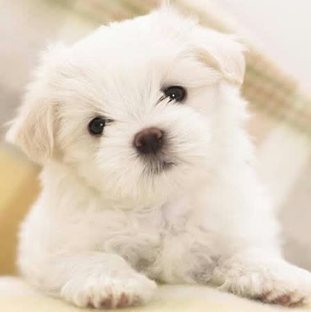 Your photo